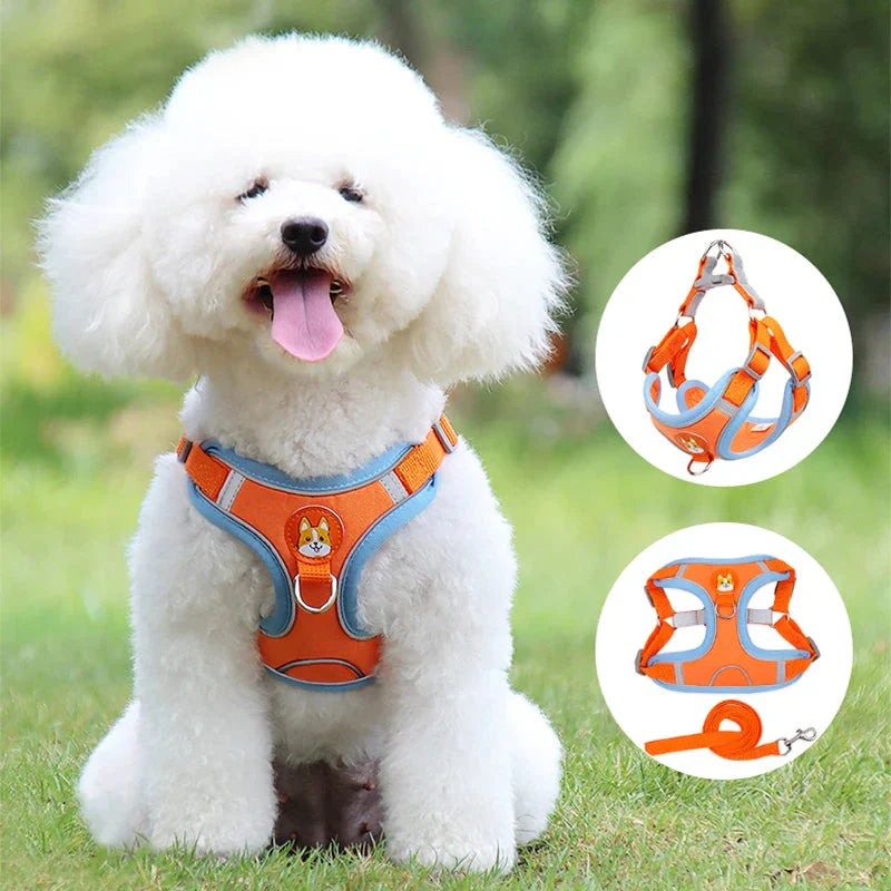Coleira Peitoral Para Cachorro - Pet Ride