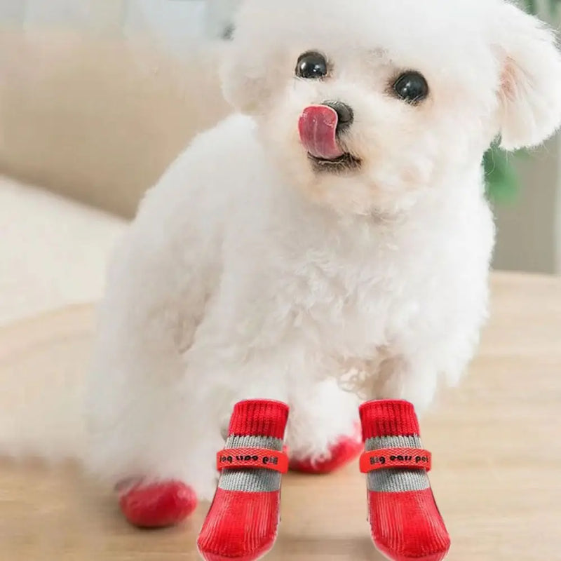 PawDry™ Meias Impermeáveis