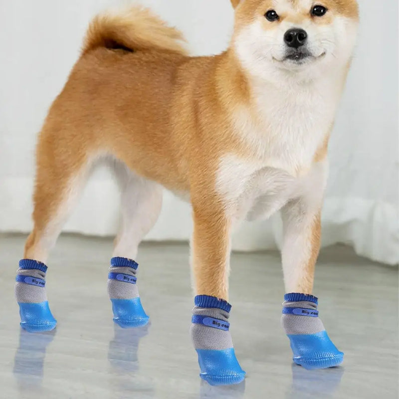 PawDry™ Meias Impermeáveis